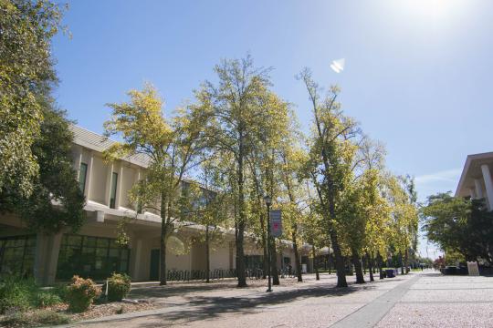 salazar hall